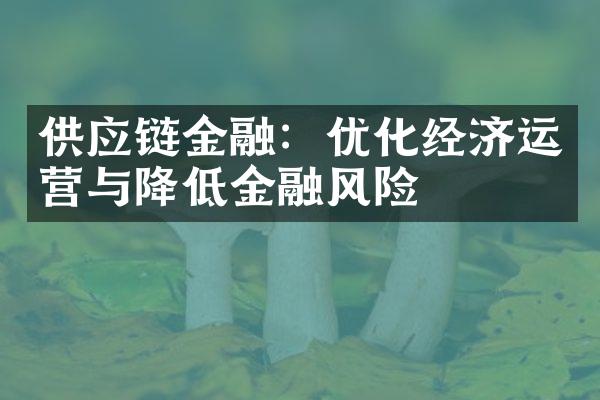 供应链金融：优化经济运营与降低金融风险