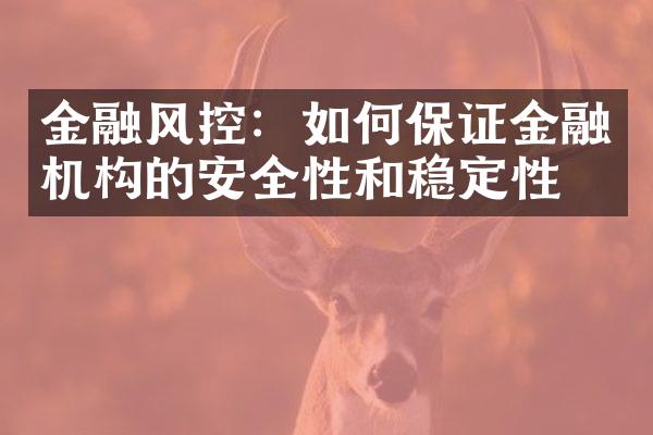 金融风控：如何保证金融机构的安全性和稳定性？