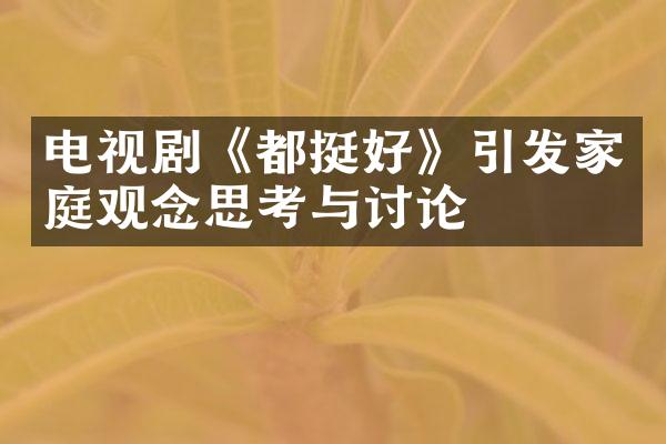 电视剧《都挺好》引发家庭观念思考与讨论