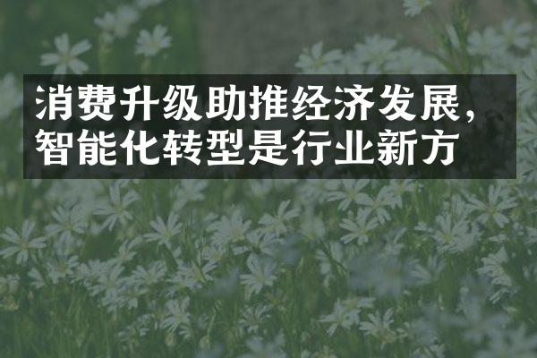 消费升级助推经济发展，智能化转型是行业新方向