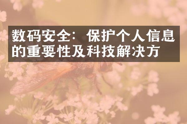 数码安全：保护个人信息的重要性及科技解决方案