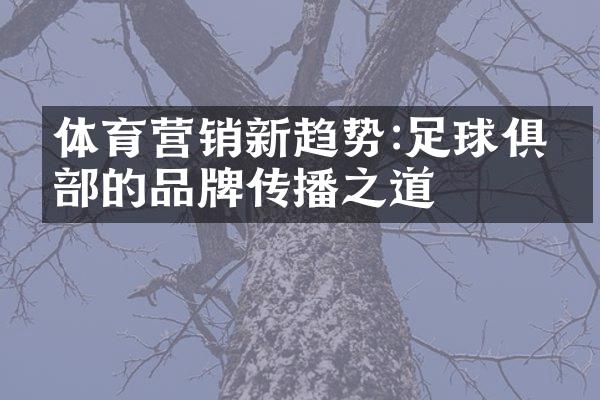 体育营销新趋势:足球俱乐部的品牌传播之道