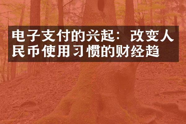 电子支付的兴起：改变使用惯的财经趋势