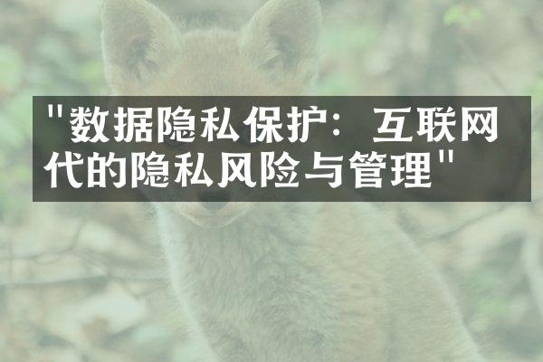 "数据隐私保护：互联网时代的隐私风险与管理"