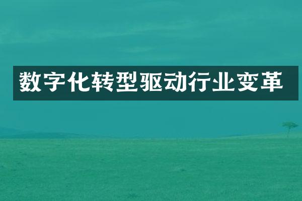 数字化转型驱动行业变革