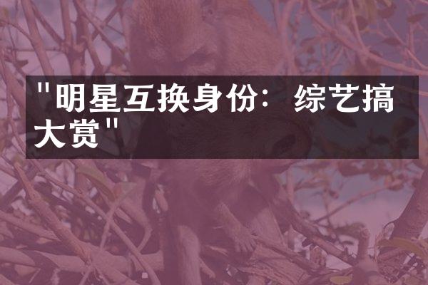 "明星互换身份：综艺搞笑大赏"