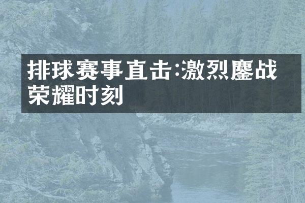 排球赛事直击:激烈鏖战与荣耀时刻