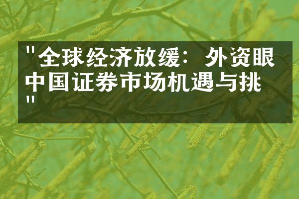 "全球经济放缓：外资眼中中国证券市场机遇与挑战"