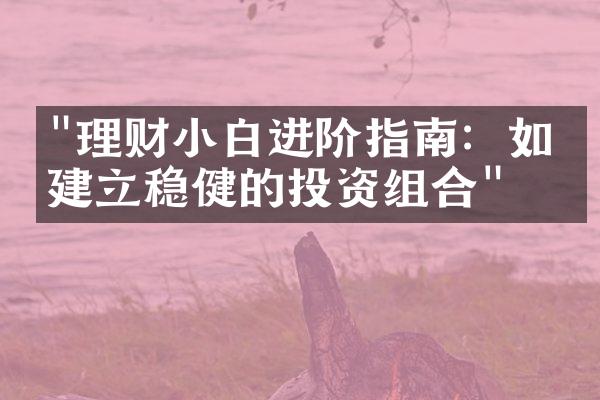 "理财小白进阶指南：如何建立稳健的投资组合"