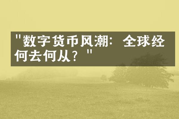 "数字货币风潮：全球经济何去何从？"