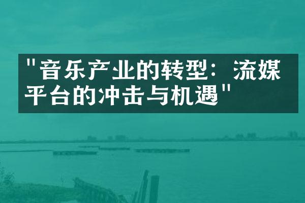 "音乐产业的转型：流媒体平台的冲击与机遇"