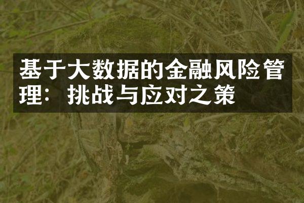 基于大数据的金融风险管理：挑战与应对之策