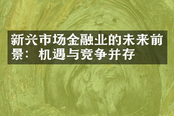 新兴市场金融业的未来前景：机遇与竞争并存