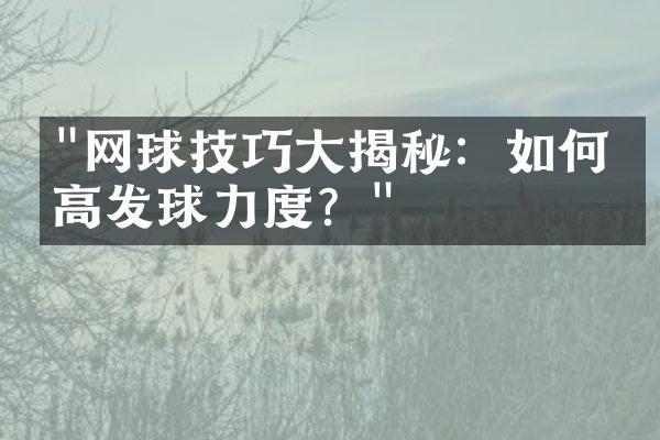 "网球技巧大揭秘：如何提高发球力度？"