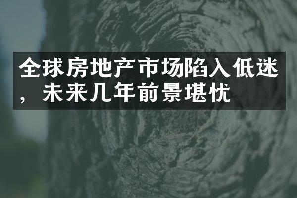 全球房地产市场陷入低迷，未来几年前景堪忧