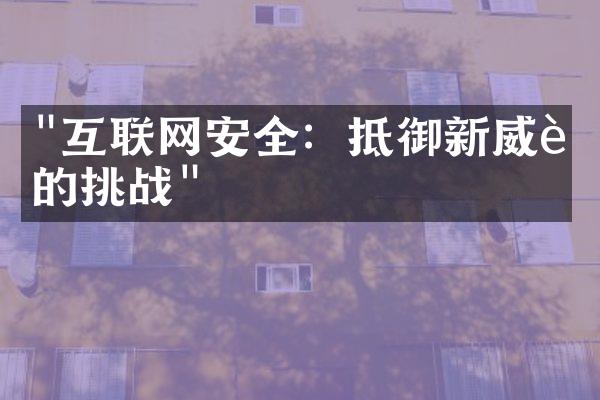 "互联网安全：抵御新威胁的挑战"