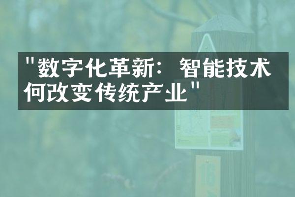 "数字化革新：智能技术如何改变传统产业"