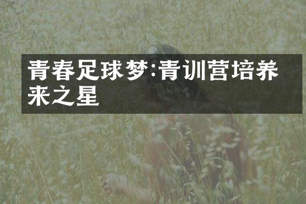 青春足球梦:青训营培养未来之星