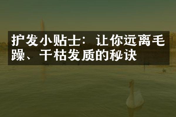 护发小贴士：让你远离毛躁、干枯发质的秘诀