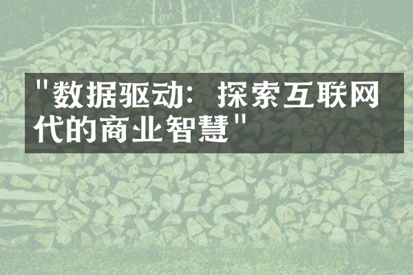 "数据驱动：探索互联网时代的商业智慧"