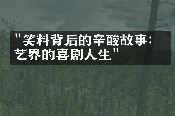 "笑料背后的辛酸故事：综艺界的喜剧人生"