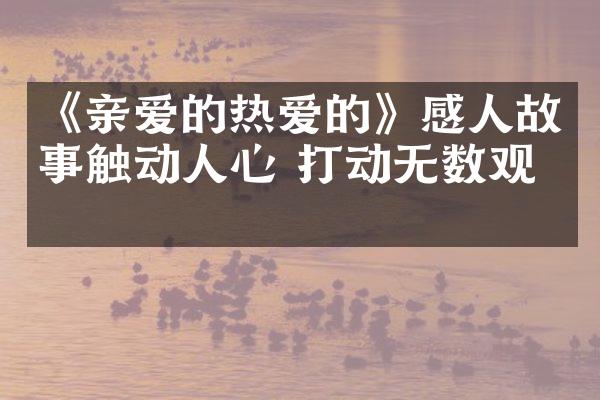 《亲爱的热爱的》感人故事触动人心 打动无数观众