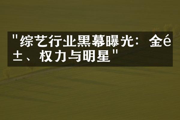 "综艺行业黑幕曝光：金钱、权力与明星"