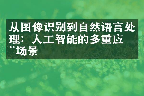 从图像识别到自然语言处理：人工智能的多重应用场景