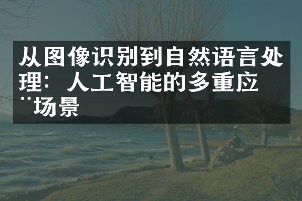 从图像识别到自然语言处理：人工智能的多重应用场景