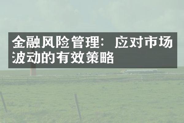 金融风险管理：应对市场波动的有效策略