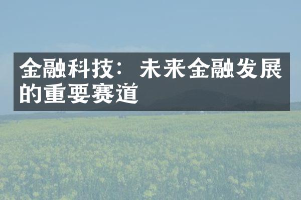 金融科技：未来金融发展的重要赛道