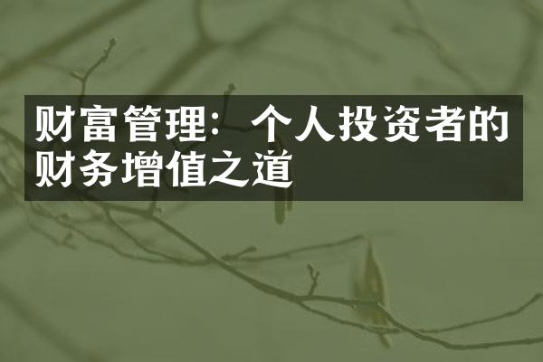 财富管理：个人投资者的财务增值之道