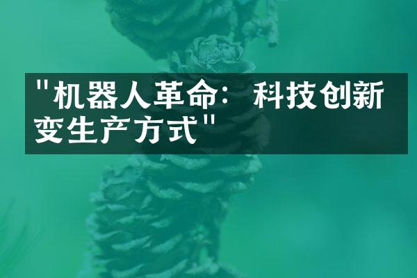 "机器人革命：科技创新改变生产方式"