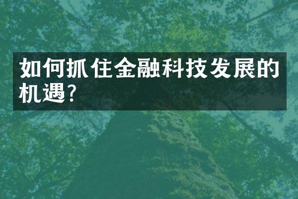 如何抓住金融科技发展的机遇？