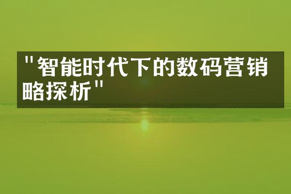 "智能时代下的数码营销策略探析"