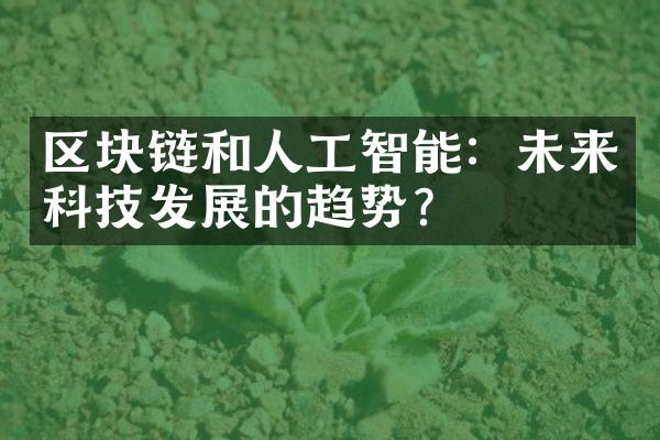 区块链和人工智能：未来科技发展的趋势？