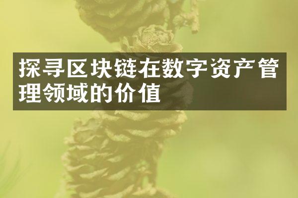 探寻区块链在数字资产管理领域的价值