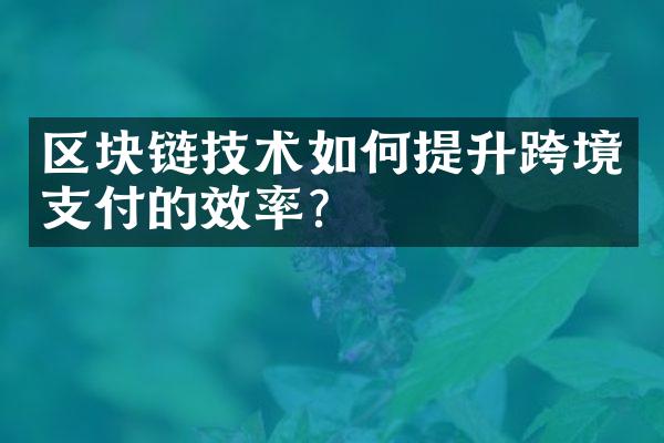 区块链技术如何提升跨境支付的效率？