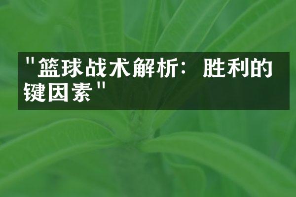 "篮球战术解析：胜利的关键因素"