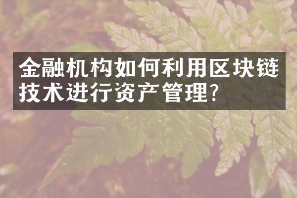 金融机构如何利用区块链技术进行资产管理？