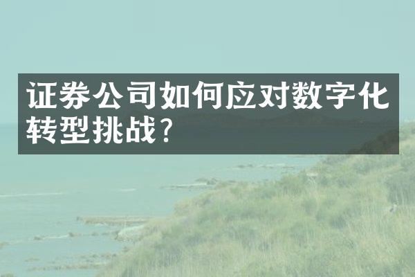 证券公司如何应对数字化转型挑战？