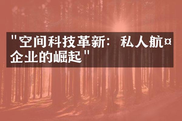 "空间科技革新：私人航天企业的崛起"