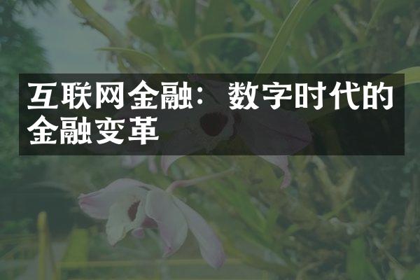 互联网金融：数字时代的金融变革