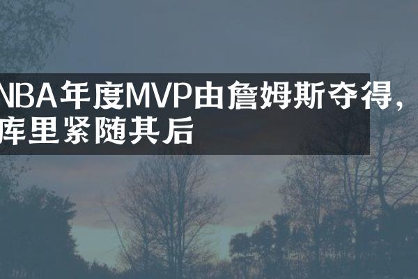 NBA年度MVP由詹姆斯夺得，库里紧随其后