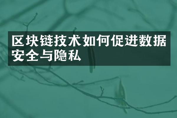 区块链技术如何促进数据安全与隐私