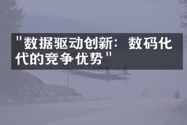 "数据驱动创新：数码化时代的竞争优势"