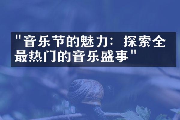 "音乐节的魅力：探索全球最热门的音乐盛事"