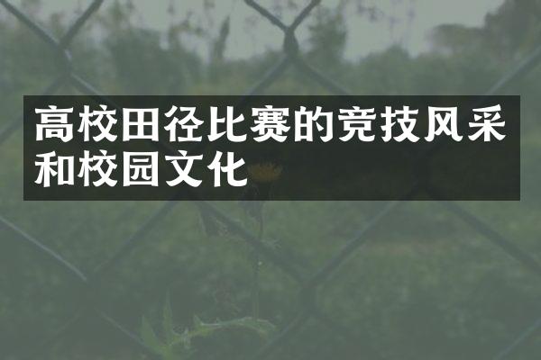 高校田径比赛的竞技风采和校园文化