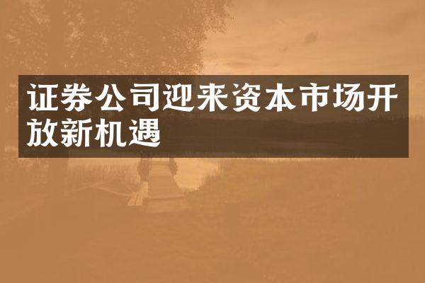 证券公司迎来资本市场开放新机遇