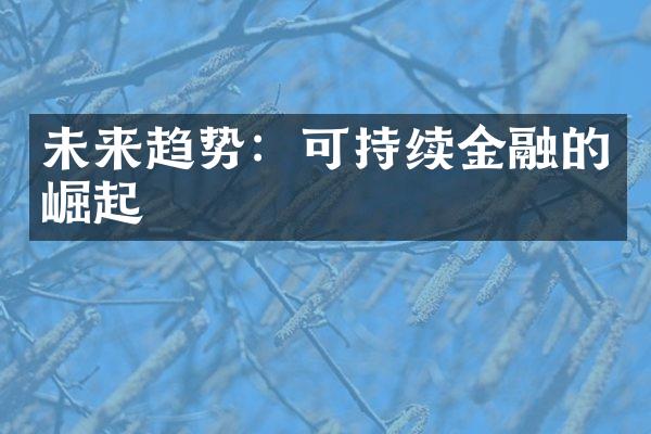 未来趋势：可持续金融的崛起